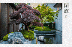 巨无霸地块的出